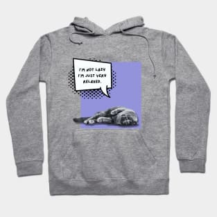 I'm not lazy I'm just very relaxed cat Hoodie